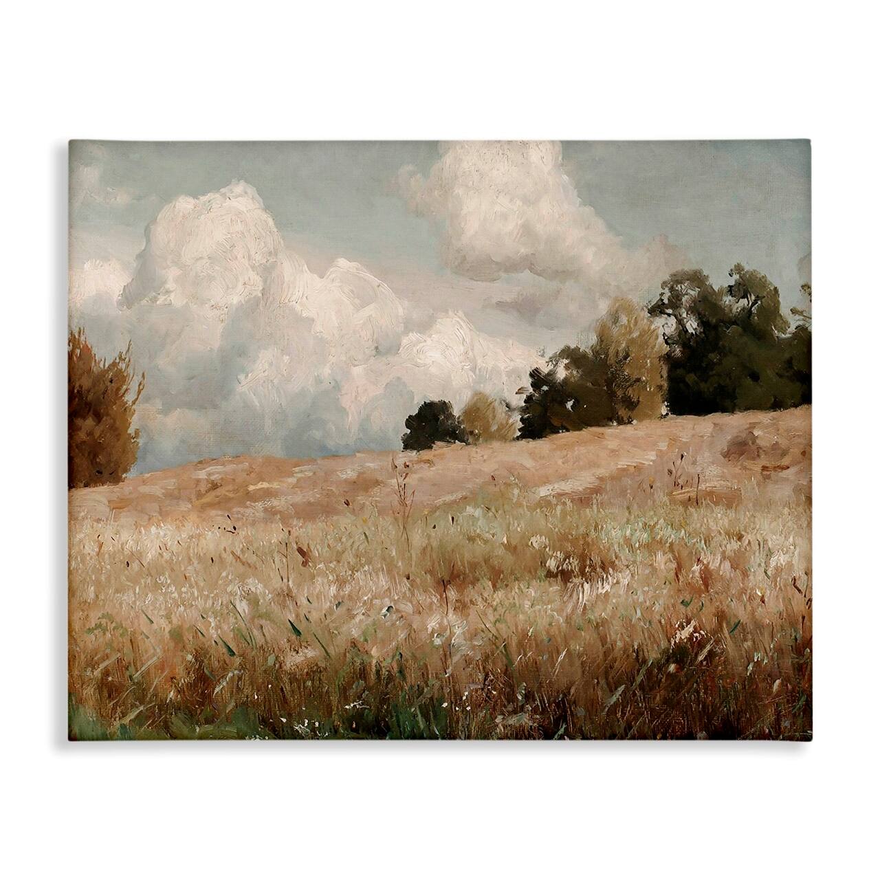 Stupell Industries Classic Cloudy Field Landscape Canvas Wall Art